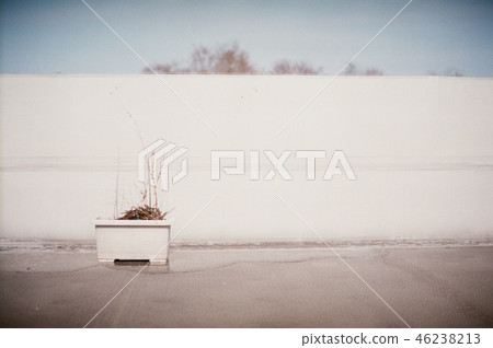 Planter on the roof 46238213