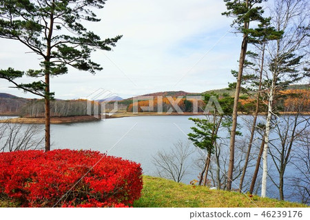 Snowy Iwate mountain seen from Iwado lake 46239176