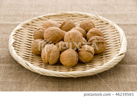 Walnut  46239563