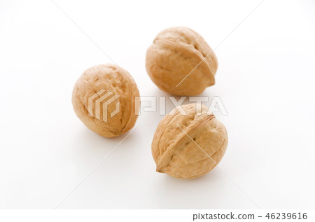 Walnut Walnut 46239616