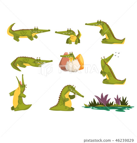 Friendly crocodile in different poses set, funny predator cartoon character, roc daily activities Friendly crocodile in different poses set, funny predator cartoon character, roc daily activities 46239829