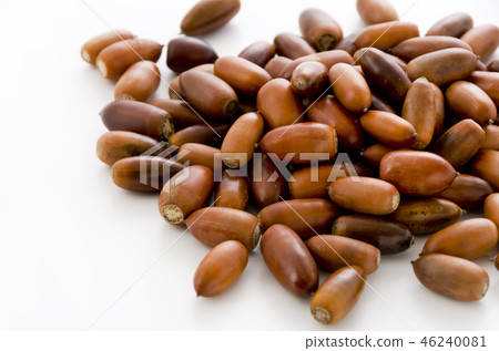 橡子 橡子 46240081