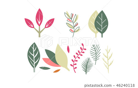 Flat vector set of leaves of different plants. Natural decorative elements. Flora theme 46240118