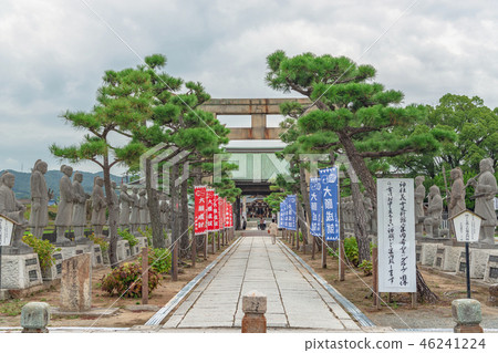 Oishi Shrine approach road scenery Oishi Shrine approach road scenery 46241224