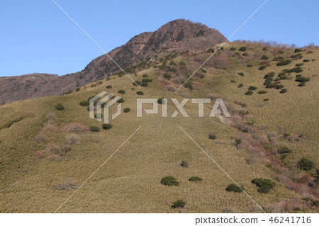 金時山 金時山 46241716