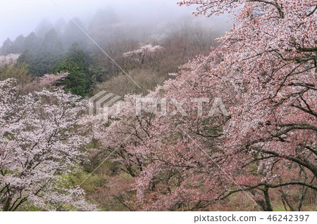 Folding rock 46242397