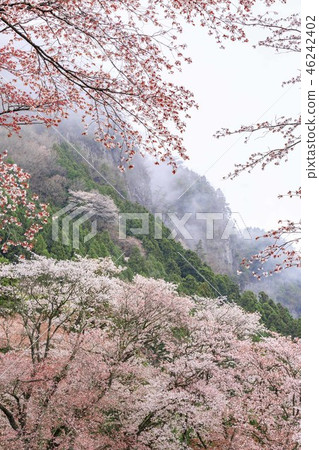 折疊的岩石 46242402