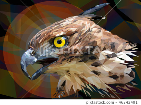 Illustration polygonal drawing Changeable Hawk. 46242491