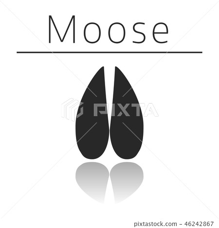 Moose animal track Moose animal track 46242867