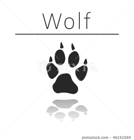 Wolf animal track 46242889