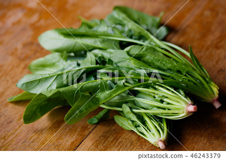 Akane Spinach 46243379