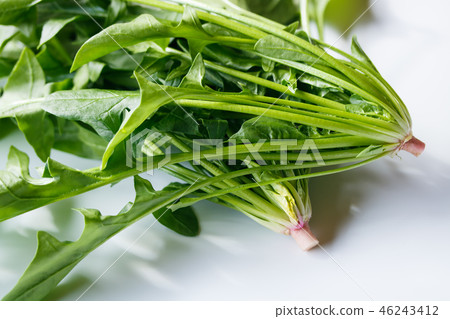 Akane Spinach Akane Spinach 46243412