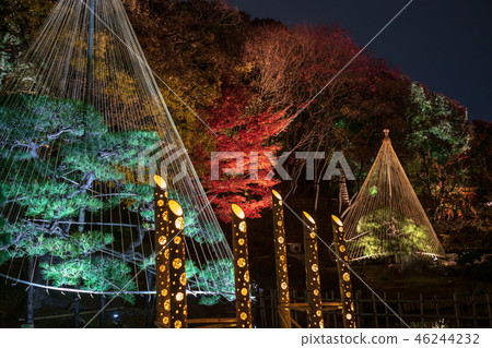 《東京》日本庭園肥後細川庭園燈火通明 46244232