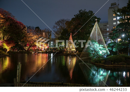 《東京》日本庭園肥後細川庭園燈火通明 46244233