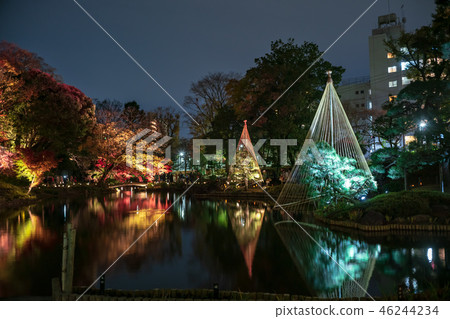 《東京》日本庭園肥後細川庭園燈火通明 46244234