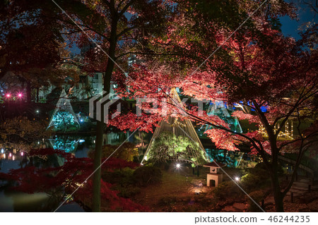 《東京》日本庭園肥後細川庭園燈火通明 46244235