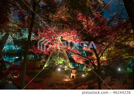 《東京》日本庭園肥後細川庭園燈火通明 《東京》日本庭園肥後細川庭園燈火通明 46244236