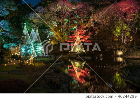 《東京》日本庭園肥後細川庭園燈火通明 《東京》日本庭園肥後細川庭園燈火通明 46244289