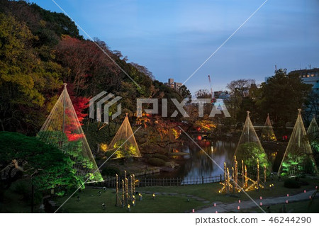 《東京》日本庭園肥後細川庭園燈火通明 《東京》日本庭園肥後細川庭園燈火通明 46244290