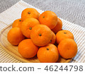 橘子 46244798