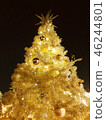 聖誕樹 46244801