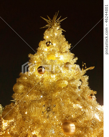 聖誕樹 46244801