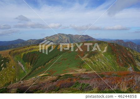 沿著朝日山脈和山的路上的秋葉。 46244858