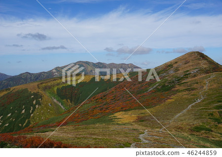 沿著朝日山脈和山的路上的秋葉。 沿著朝日山脈和山的路上的秋葉。 46244859