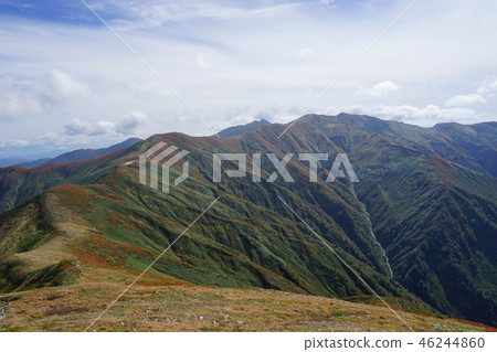 秋天的樹葉在朝日山脈和山的路上。 46244860