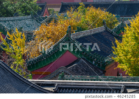 紫禁城故宮博物院 中国北京観光スポット Forbidden City 世界五大博物館 46245285