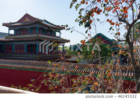 紫禁城故宮博物院 中国北京観光スポット Forbidden City 世界五大博物館 紫禁城故宮博物院 中国北京観光スポット Forbidden City 世界五大博物館 46245332