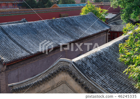 紫禁城故宮博物院 中国北京観光スポット Forbidden City 世界五大博物館 46245335