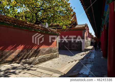 紫禁城故宮博物院 中国北京観光スポット Forbidden City 世界五大博物館 46245386