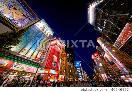在日本的東京都市風景我想看到秋葉原市,東京(行人天堂)。屏幕的背面是Suehirocho Station方向 在日本的東京都市風景我想看到秋葉原市,東京(行人天堂)。屏幕的背面是Suehirocho Station方向 46246562