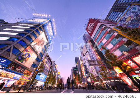 在日本的東京都市風景我想看到秋葉原市,東京(行人天堂)。屏幕的背面是Suehirocho Station方向 在日本的東京都市風景我想看到秋葉原市,東京(行人天堂)。屏幕的背面是Suehirocho Station方向 46246563