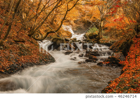 Kaneyama Waterfall Fall Autumn leaves Waterfall Kaneyama Waterfall Fall Autumn leaves Waterfall 46246714