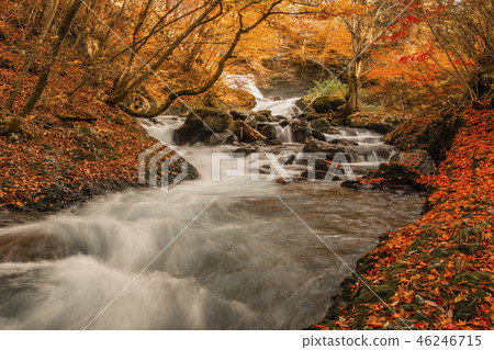 Kaneyama Waterfall Fall Autumn leaves Waterfall Kaneyama Waterfall Fall Autumn leaves Waterfall 46246715