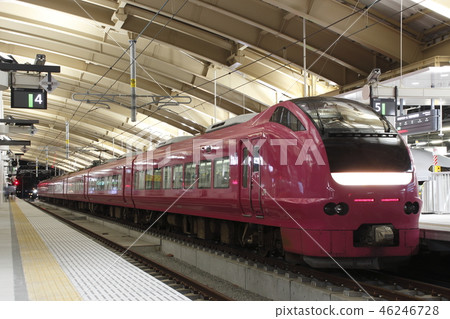 Limited express Inaho (E653 series Hermanus color) 46246728