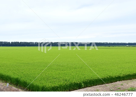 Landscape of Ogata Village Landscape of Ogata Village 46246777