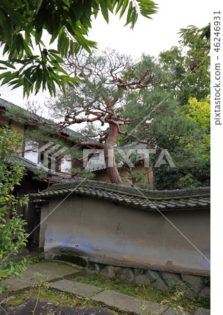 Shinshu, "Kuri and Hokusai to Hana no Obuse", the town line of S-shaped rubble 46246931