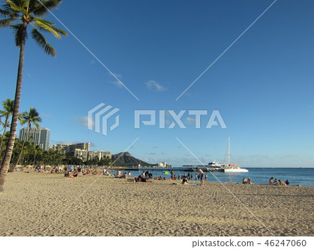 夏威夷海灘 夏威夷海灘 46247060