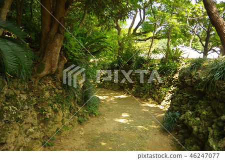road road 46247077