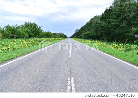 Landscape of Ogata Village Landscape of Ogata Village 46247110