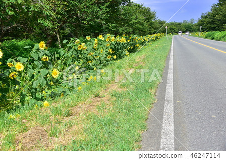 緒方村的景觀 46247114