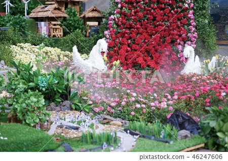 Flowers in the garden Flowers in the garden 46247606