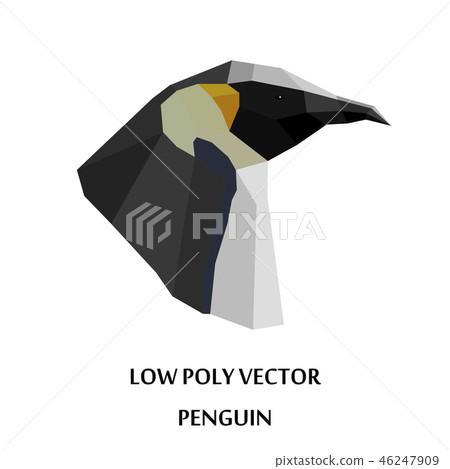 Abstract vector penguins head in low poly style. Abstract vector penguins head in low poly style. 46247909