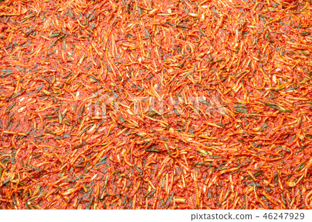 韓國的美味多彩泡菜泡菜醬 韓國的美味多彩泡菜泡菜醬 46247929