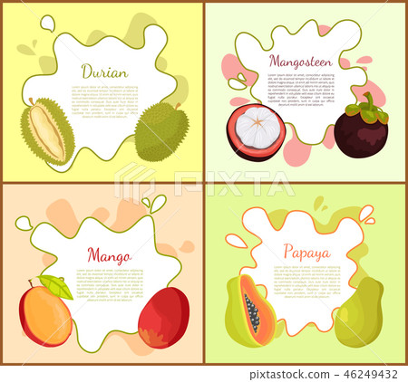 Durian, and Mangosteen Mango Vector Illustration Durian, and Mangosteen Mango Vector Illustration 46249432
