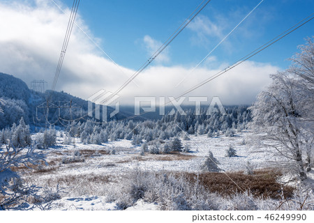 High voltage power lines in the winter. High voltage power lines in the winter. 46249990