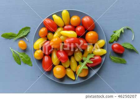 Yellow and red tomatoes and chicory leaves Yellow and red tomatoes and chicory leaves 46250207